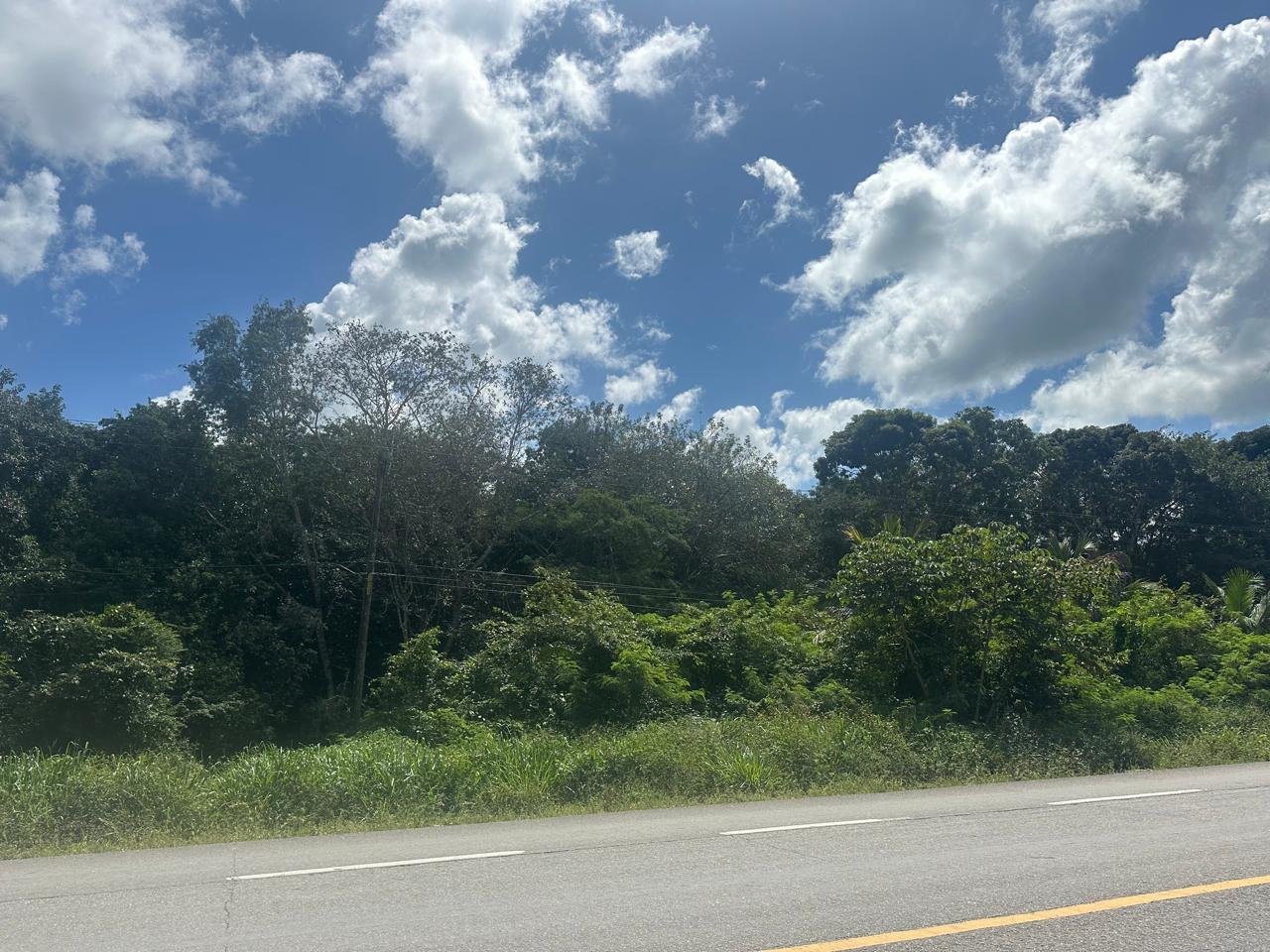TERRENO EN VENTA – LOTE 16, CARRETERA FEDERAL, BACALAR, Q. ROO