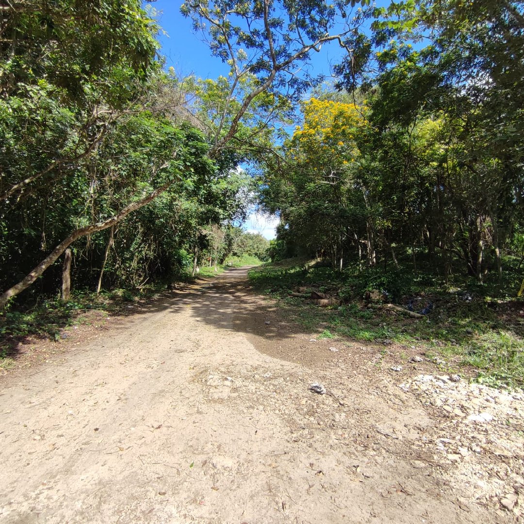 TERRENO JUNTO A LA ESTACIÓN DEL TREN MAYA EN BACALAR