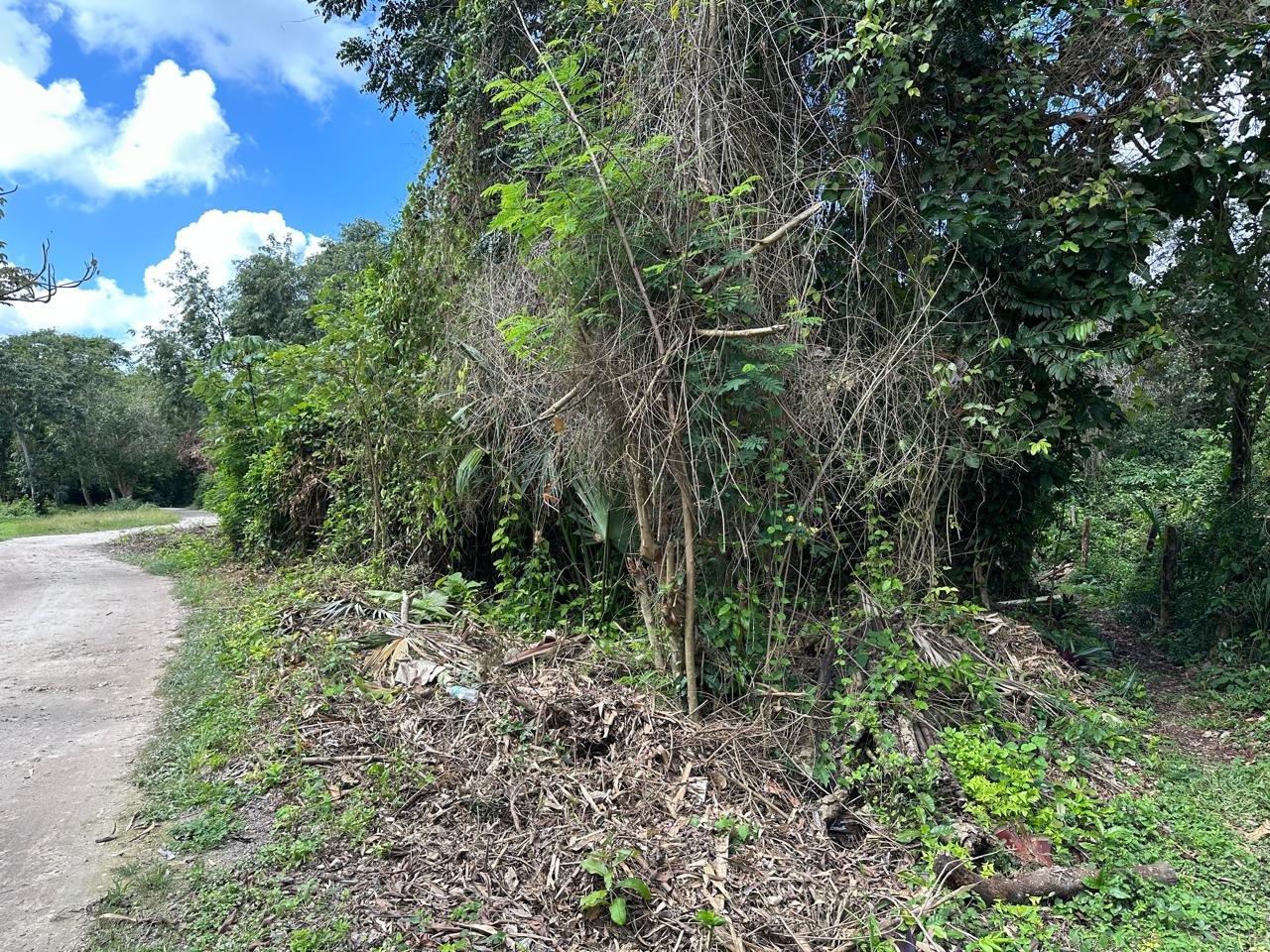 LOT 5 A LA VENTA – CARRETERA & COSTERA LOT, BACALAR, Q. ROO