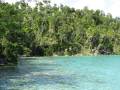 Laguna Salvaje - Wildlife Lagoon
